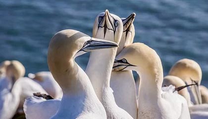 政府工作报告明确支持推广春秋假！多地中小学生将在4月1日首批“喜提”春假，成都出发飞丽江、三亚机票量已激增5倍